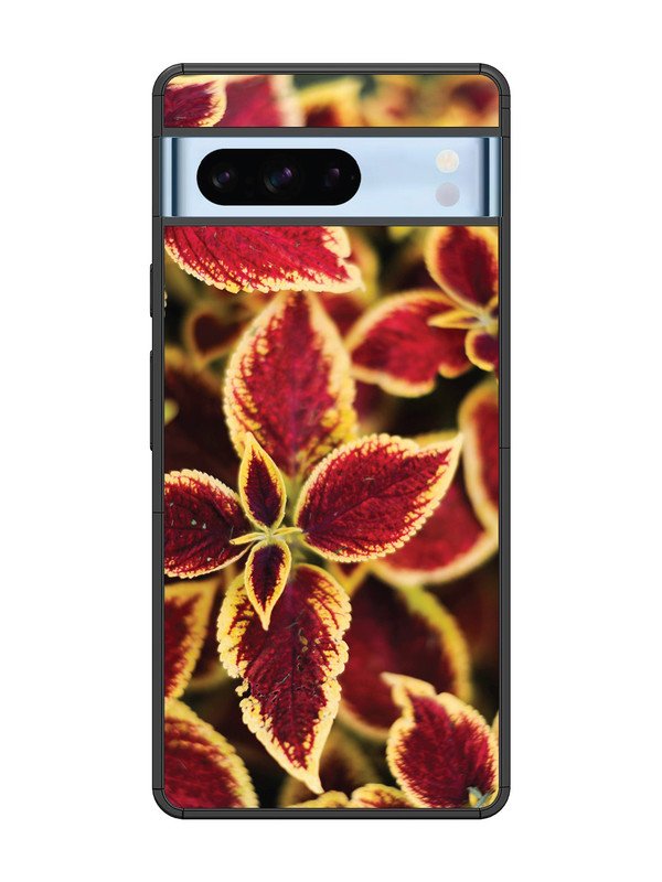Google Pixel 8 Pro Autumn Blaze