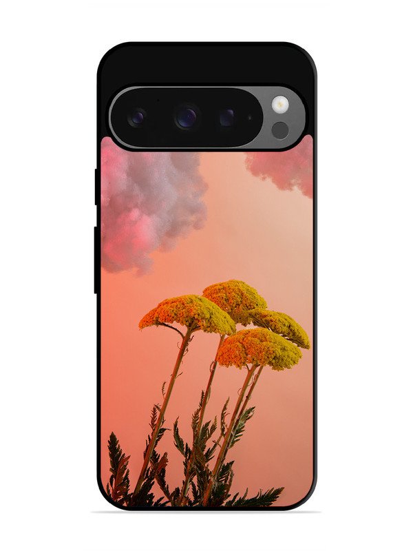 Google Pixel 9 Floral Sunset Blossom Sky