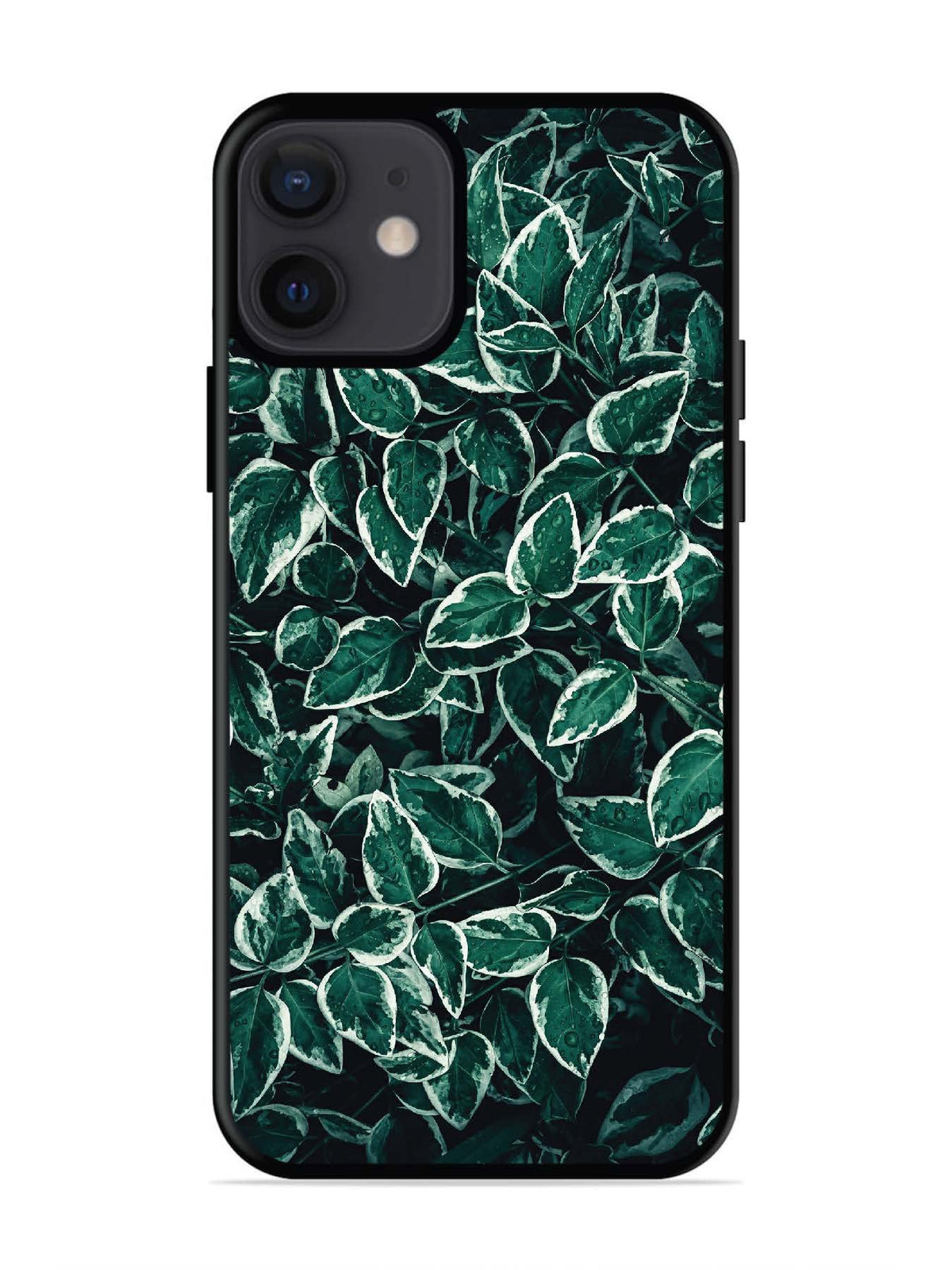 iPhone 12 Mini Green Oasis Leafs