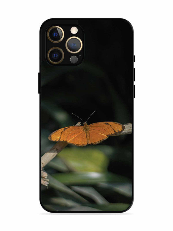iPhone 12 Pro Max Beautiful Butterfly