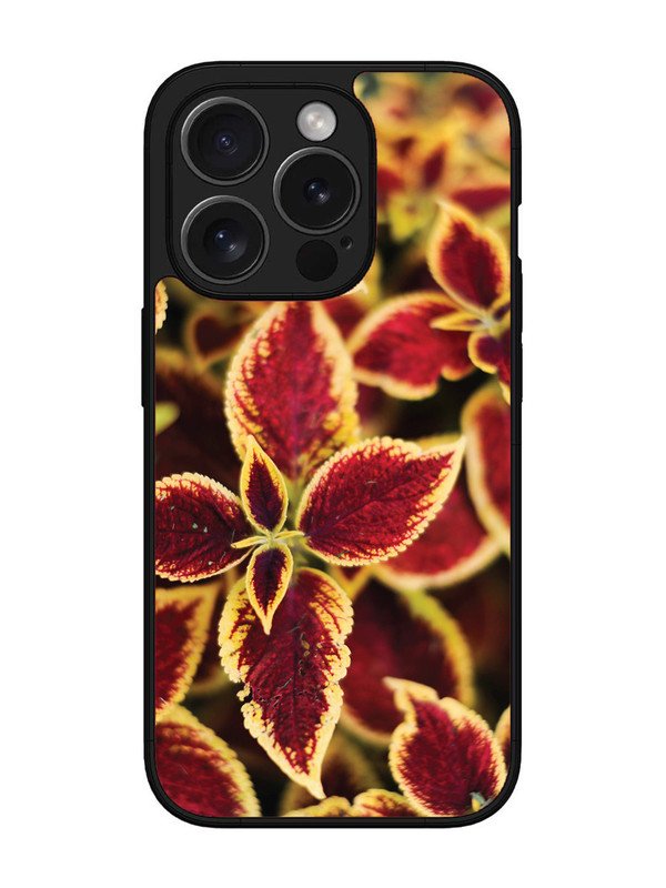 iPhone 15 Pro Max Autumn Blaze