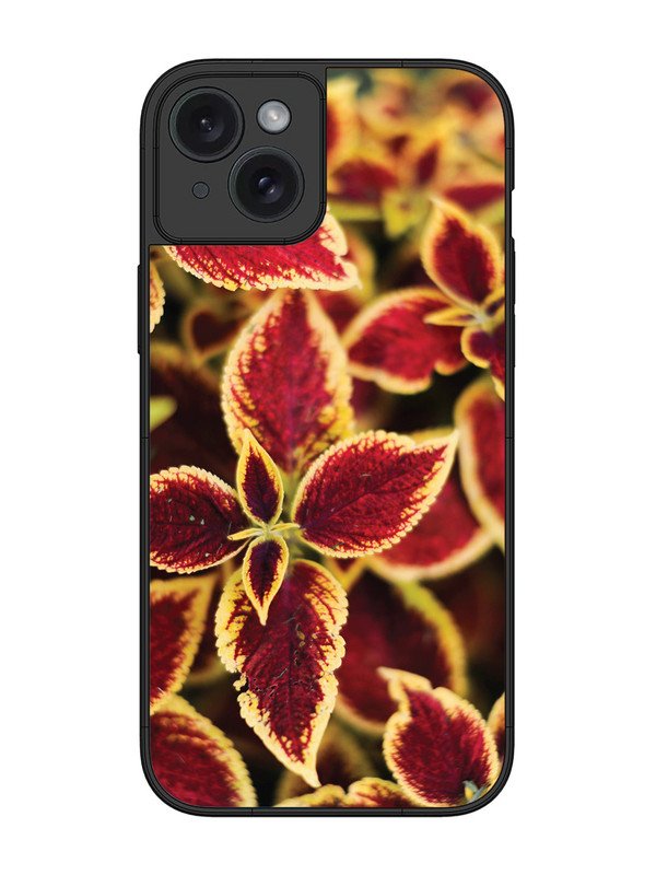 iPhone 15 Plus Autumn Blaze