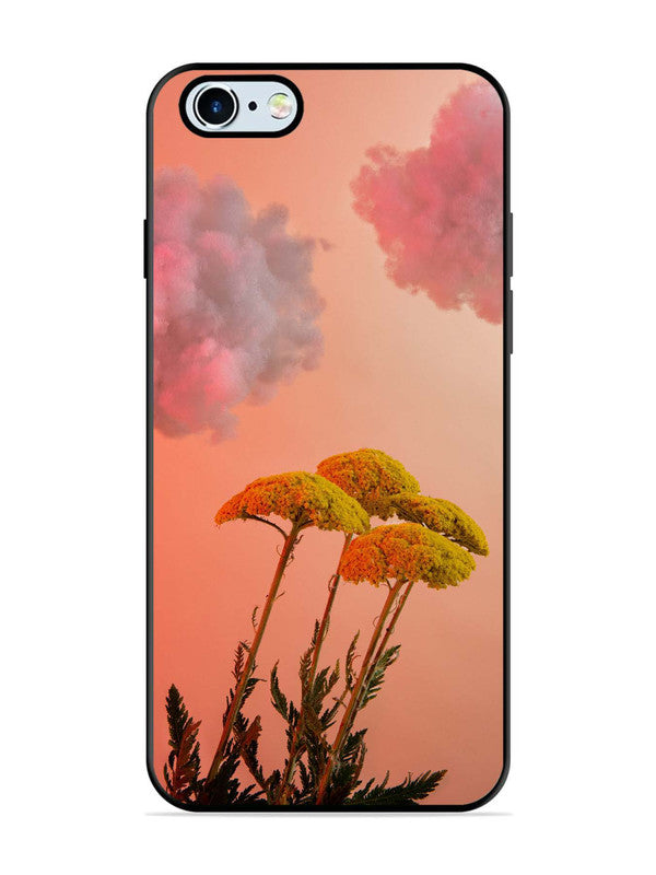 iPhone 6 Floral Sunset Blossom Sky