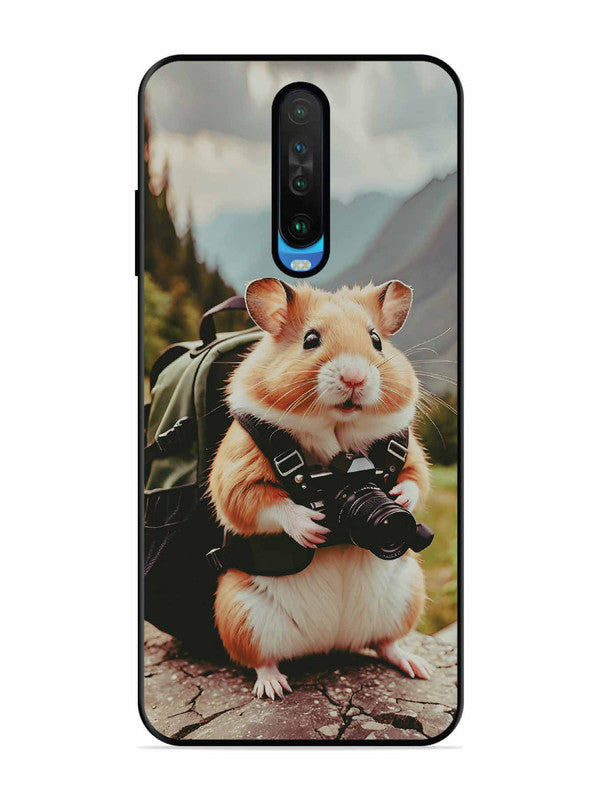 Poco X2 Camera Squirrel