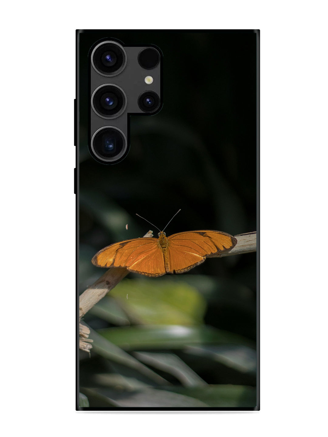Samsung Galaxy S23 Ultra Beautiful Butterfly