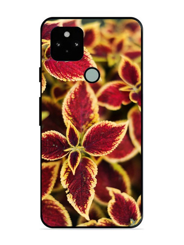 Google Pixel 5 Autumn Blaze