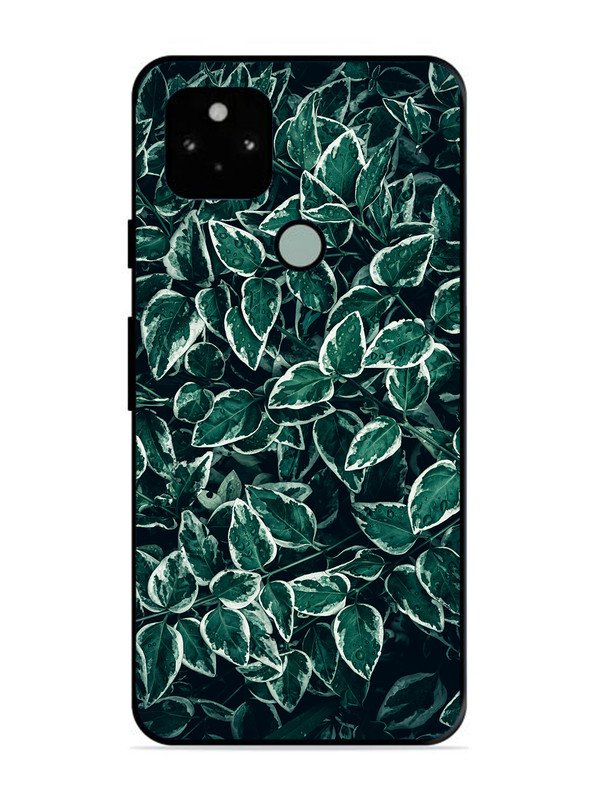 Google Pixel 5 Green Oasis Leafs