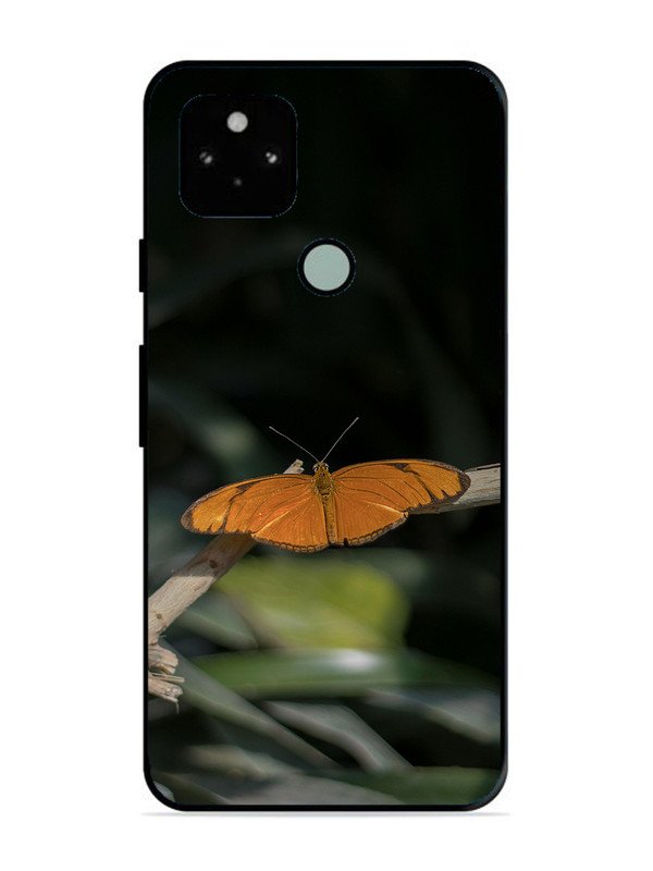 Google Pixel 5 Beautiful Butterfly