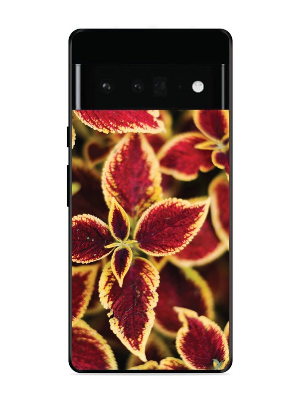 Google Pixel 6 Pro Autumn Blaze
