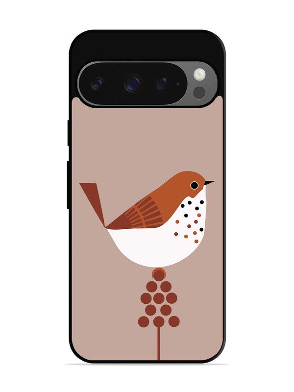 Google Pixel 9 Sparrow