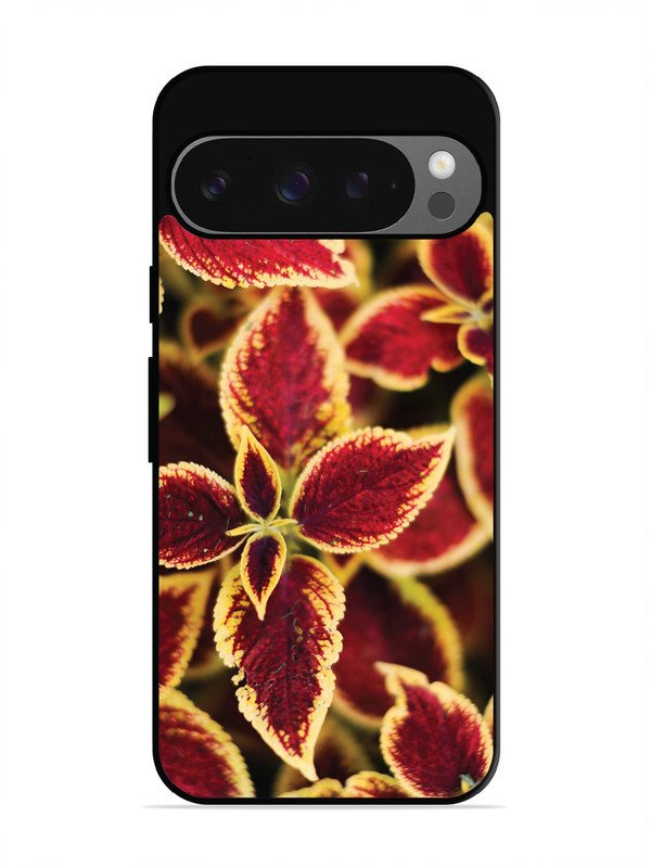 Google Pixel 9 Autumn Blaze