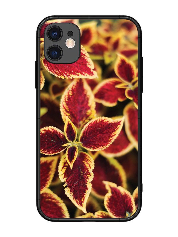 iPhone 11 Autumn Blaze