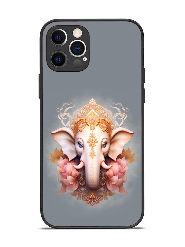 iPhone 12 Pro Ganesh Ji