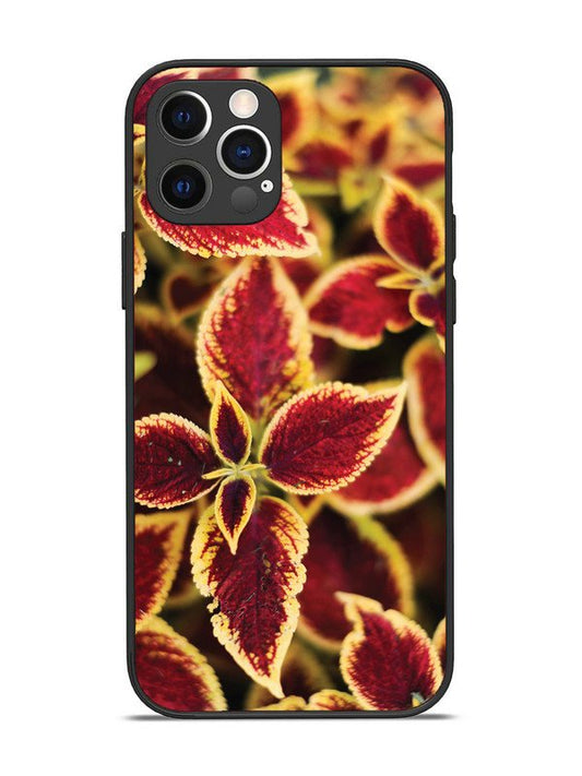 iPhone 12 Pro Autumn Blaze