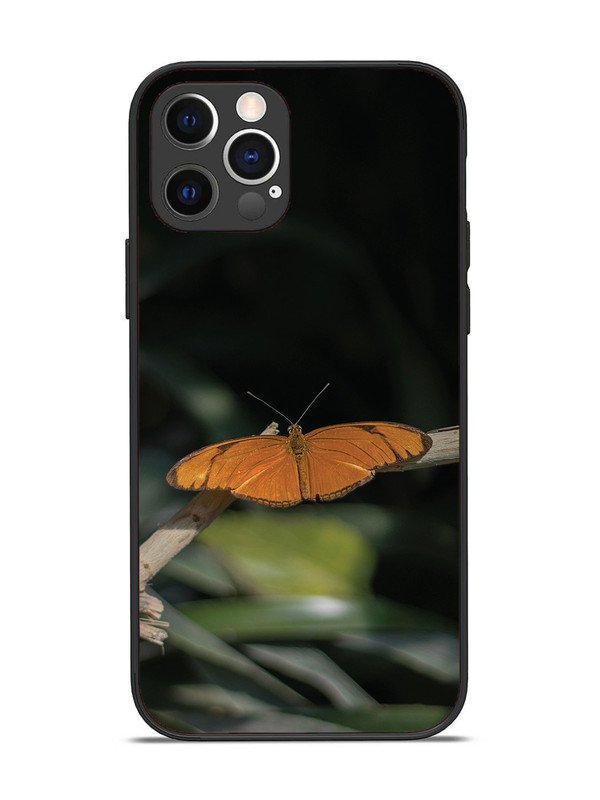 iPhone 12 Pro Beautiful Butterfly