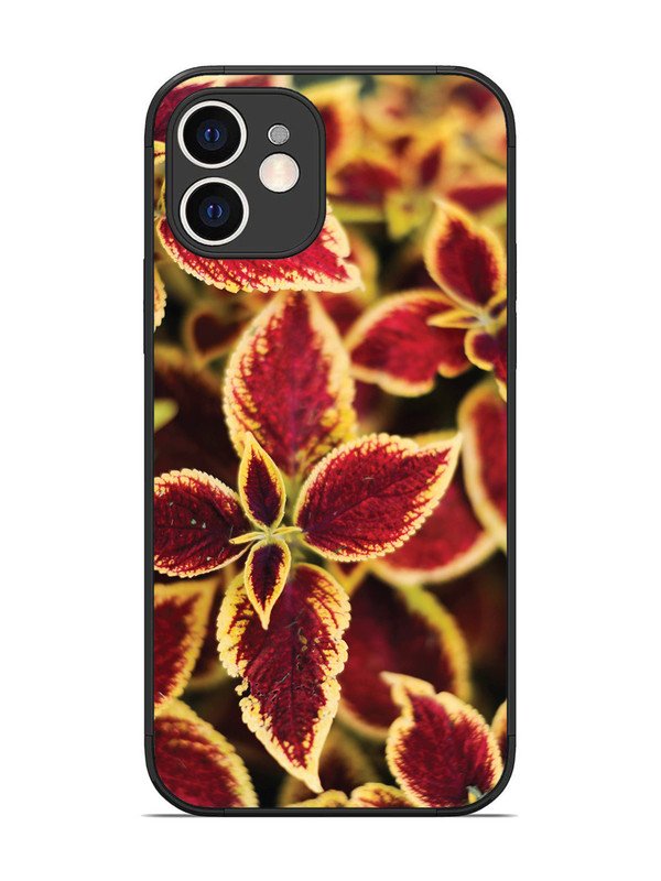 iPhone 12 Autumn Blaze