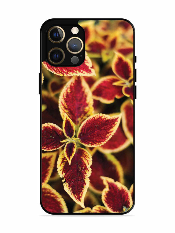 iPhone 12 Pro Max Autumn Blaze