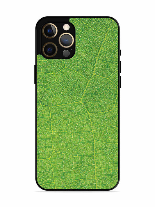 iPhone 12 Pro Max Leaf vins