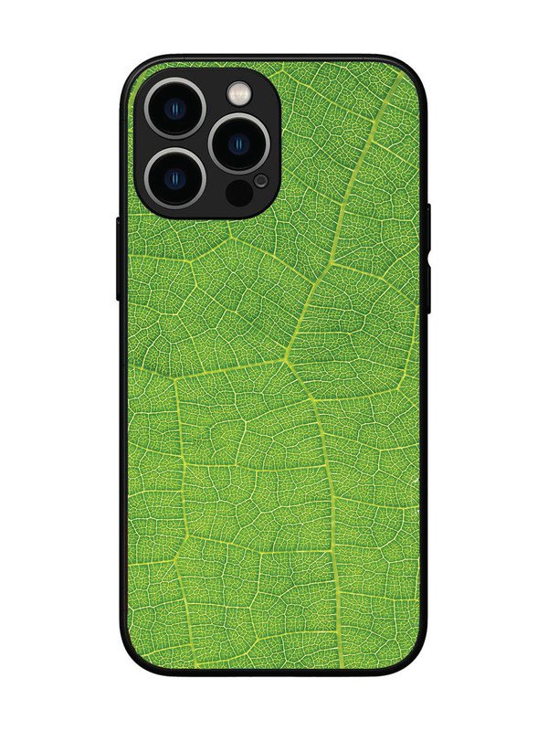 iPhone 13 Pro Max Leaf vins