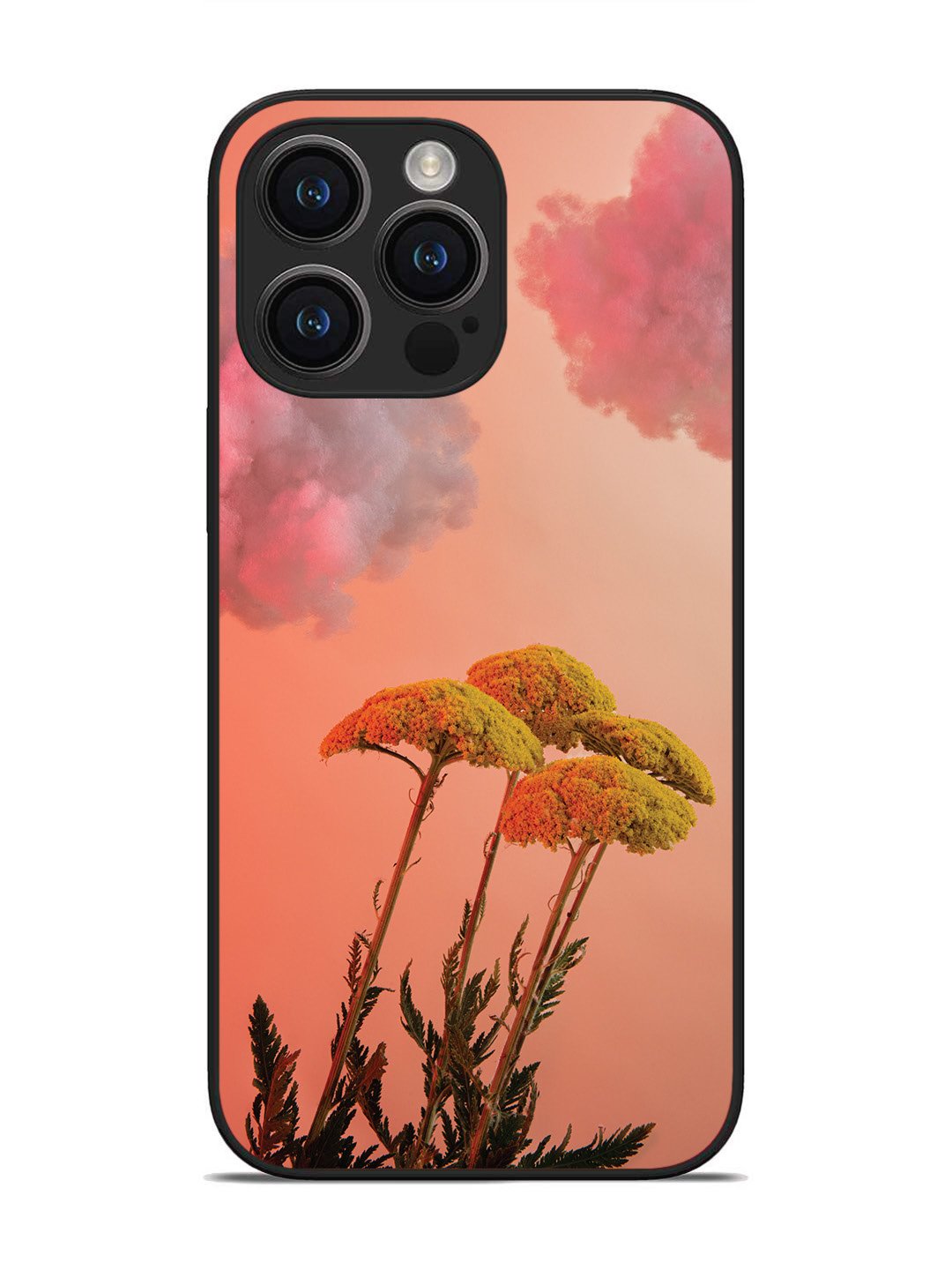 Infinix Hot 60 5G A drop on Peacock Feather