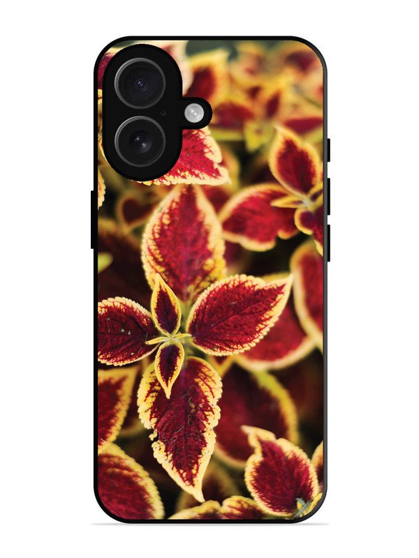 iPhone 16 Autumn Blaze