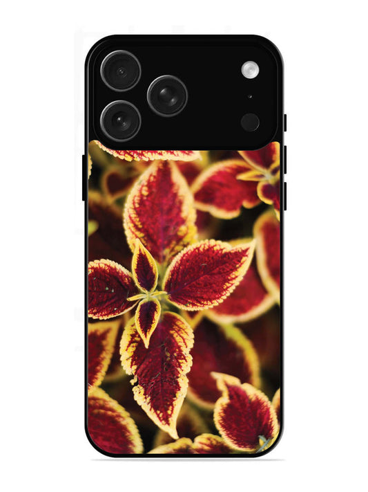 Motorola Moto G62 5G Gingham Checks Orange