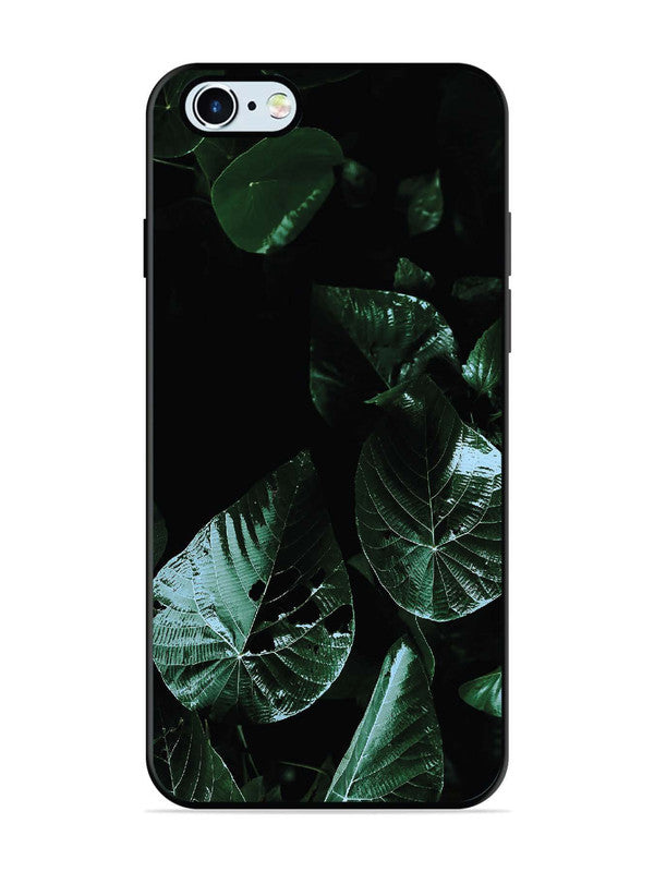 iPhone 6 Leafs at night