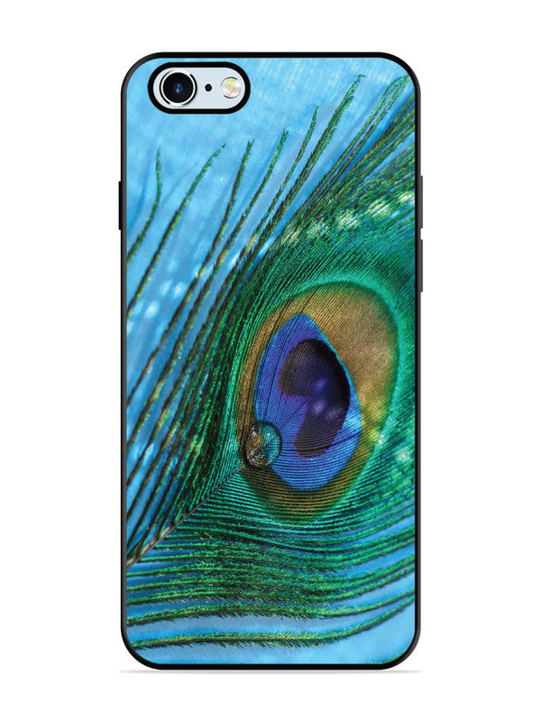 iPhone 6 A drop on Peacock Feather