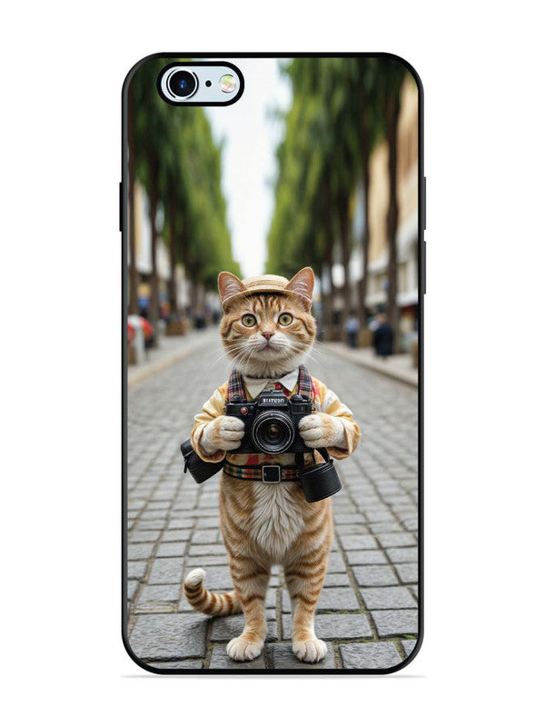 iPhone 6 Plus Cat as Cameraman