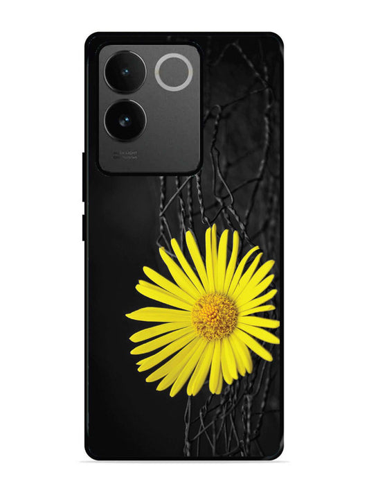 iQoo Z7 Pro 5G Sunflower on Fansing