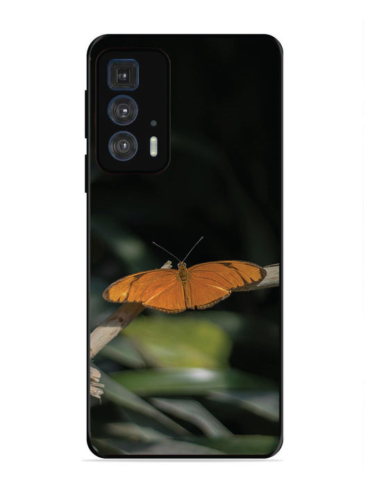 Motorola Moto Edge 20 Pro Beautiful Butterfly