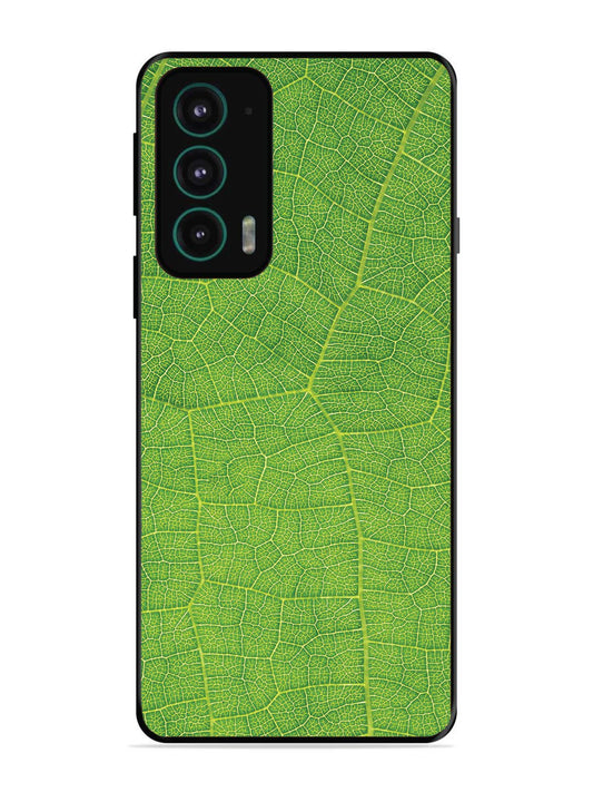 Motorola Moto Edge 20 Leaf vins