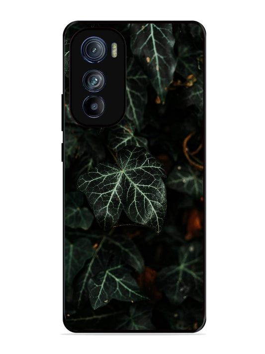 Motorola Edge 30 Betel Leafs