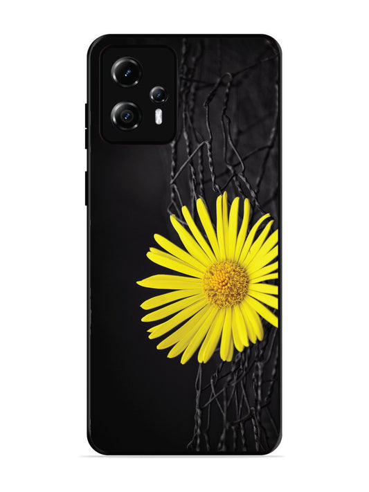 Motorola Moto G13 Sunflower on Fansing