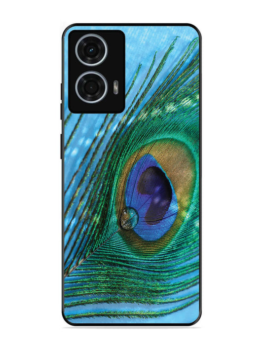 Motorola Moto G24 Power A drop on Peacock Feather