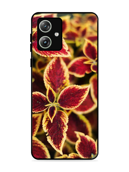 Motorola Moto G54 5G Autumn Blaze