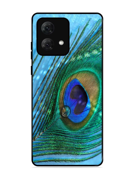 Motorola Moto G84 A drop on Peacock Feather