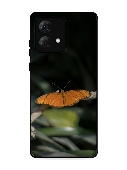 Motorola Moto G84 Beautiful Butterfly