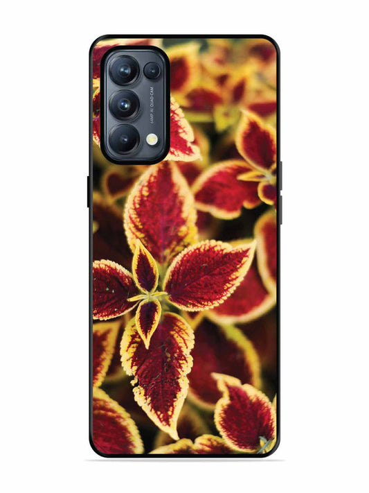 Oppo RENO 5 Pro 5G Autumn Blaze
