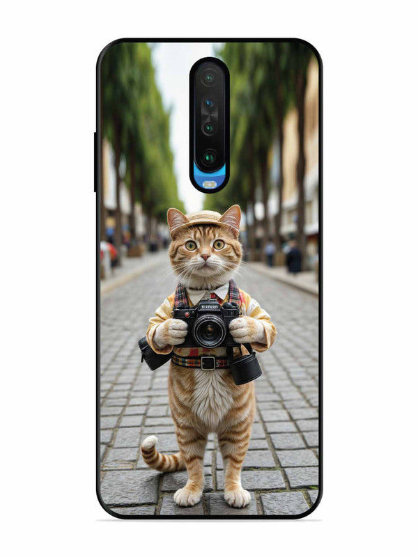 Poco X2 Cat as Cameraman