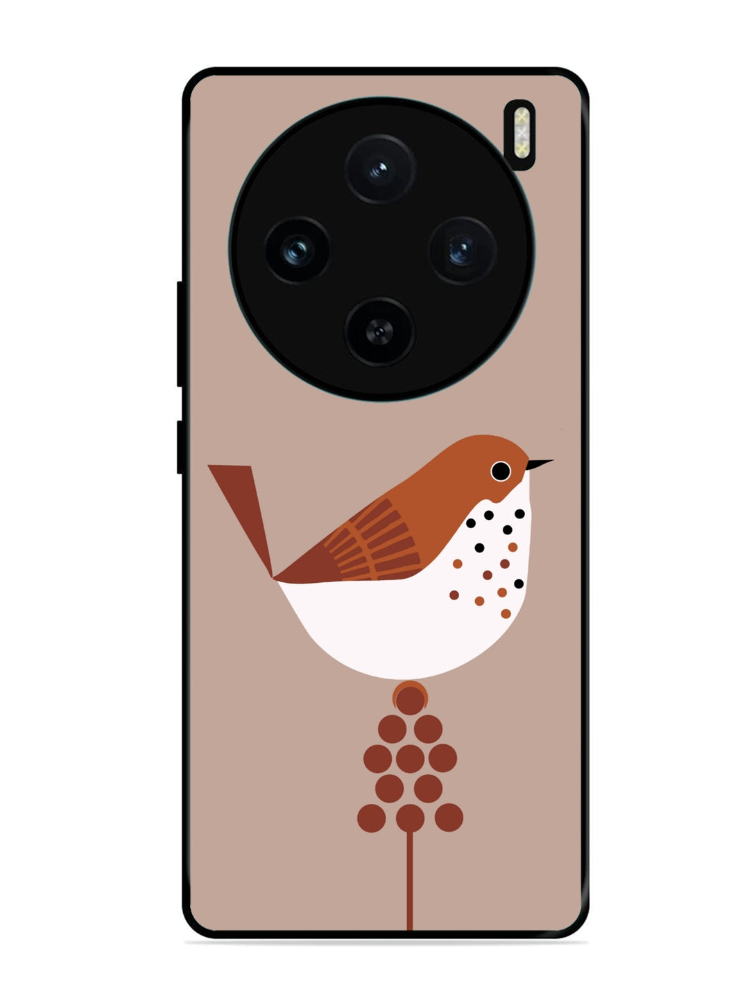 Vivo X100 5G Sparrow
