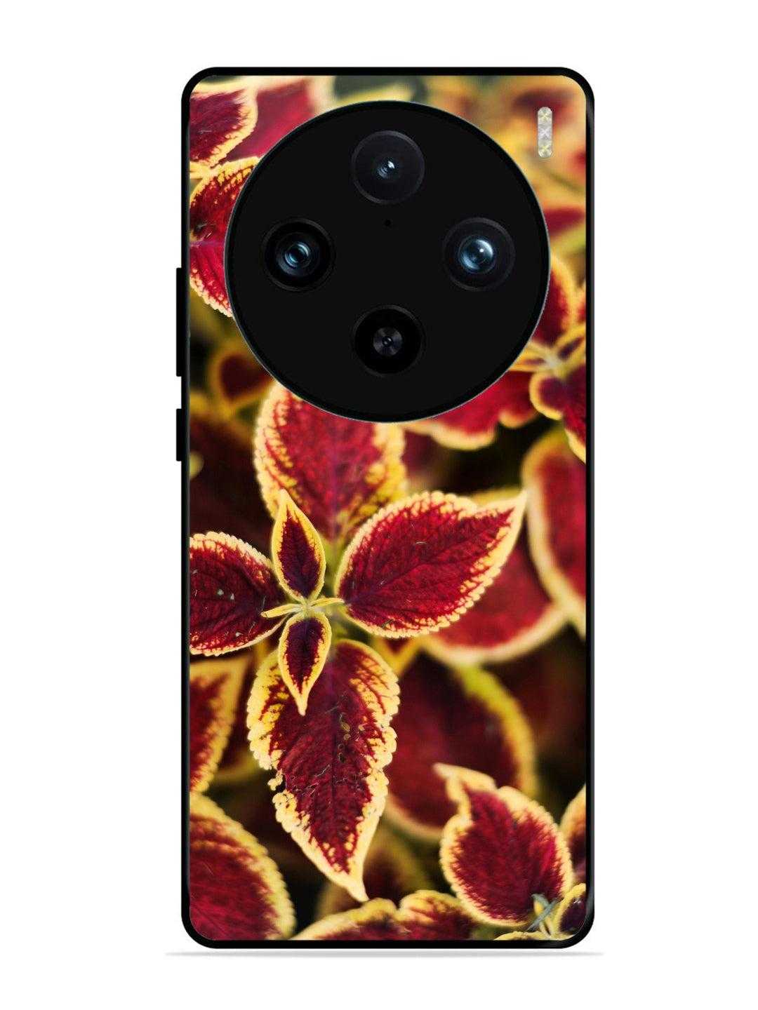 Vivo X100 Pro Autumn Blaze